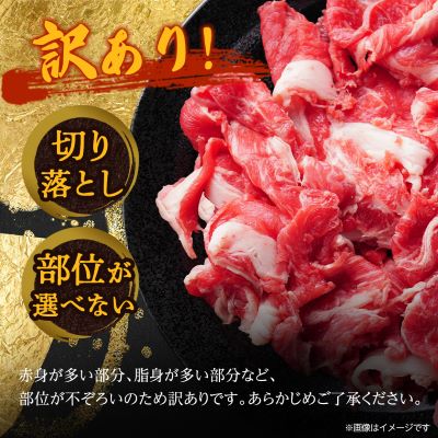 【毎月定期便】訳あり!【A4〜A5】博多和牛切り落とし　1.5kg(500g×3パック)全6回【配送不可地域：離島】【4002156】