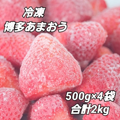 福岡県産【博多冷凍あまおう】約500g×4袋 合計約2kg【配送不可地域：離島】【1443749】