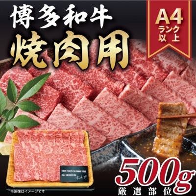 【毎月定期便】博多和牛 A4〜A5 焼き肉用【厳選部位】(500g)全6回【配送不可地域：離島】【4054209】