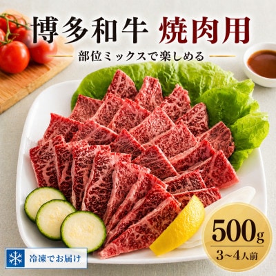 【博多和牛】焼肉用　(合計500g)【配送不可地域：離島】【1232081】