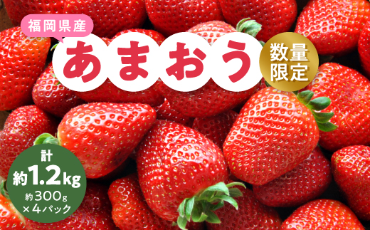 【数量限定】2025年2月より順次発送 あまおう約300g×4パック(約1,200g)【配送不可地域：離島】【1211836】