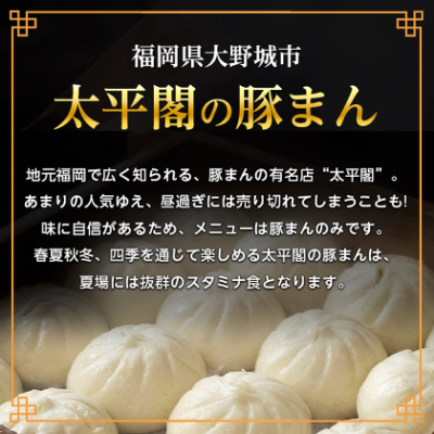 本場中国の味 太平閣の豚まん 10個　【総量 約1.2kg】【配送不可地域：離島】【1708835】