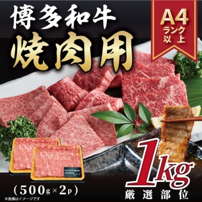 【A4〜A5】博多和牛焼肉用　1kg(500g×2p)【配送不可地域：離島】【1524690】