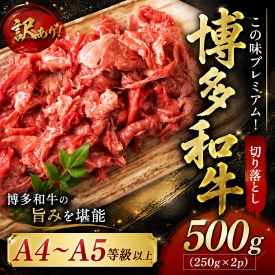訳あり!【A4〜A5】この味プレミアム!博多和牛切り落とし　500g(250g×2p)(大野城市)【配送不可地域：離島】【1750484】