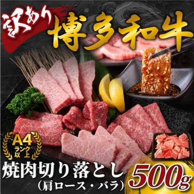 【毎月定期便】訳あり!【A4〜A5】博多和牛焼肉切り落とし(肩ロース・バラ)　500g全6回【配送不可地域：離島】【4054409】