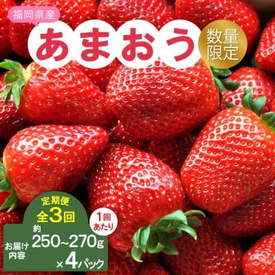 【発送月固定定期便】福岡県産あまおう約250~270g×4パック全3回【配送不可地域：離島】【4061046】