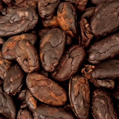 繧ッ繝ゥ繝輔ヨ繝√Ι繧ウ縲宣埼∽ク榊庄蝨ー蝓滂シ夐屬蟲カ縲代1677358縲