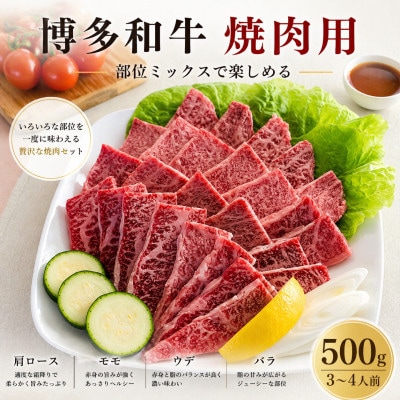 【博多和牛】焼肉用　(合計500g)【配送不可地域：離島】【1232081】