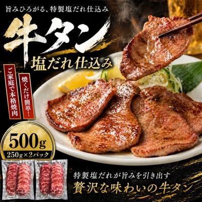 牛タン自家製塩だれ仕込み【配送不可地域：離島】【1526842】