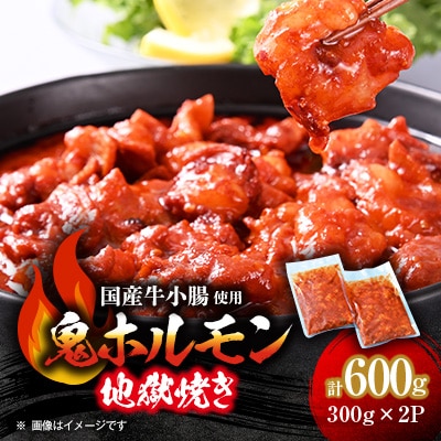 鬼ホルモン地獄焼き　2パック【配送不可地域：離島】【1364613】