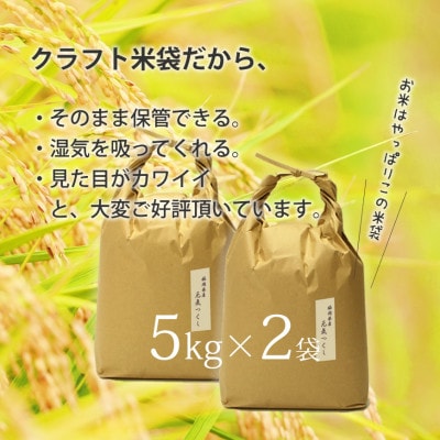 福岡県産「元気つくし」5kg×2袋 [10kg] [白米]【1463176】