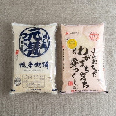 果物屋さんが選んだ米食べ比べ「夢つくし&元気つくし」5kg×2袋(大野城市)【1139464】