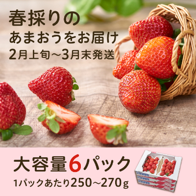 フルーツ専門店が選んだ「あまおう苺」春6パック(大野城市)【配送不可地域：離島】【1083968】