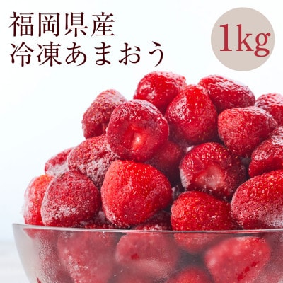 【2週間毎定期便】【濃厚な味わい!】冷凍いちご「博多あまおう」1kg全4回【配送不可地域：離島】【4085162】