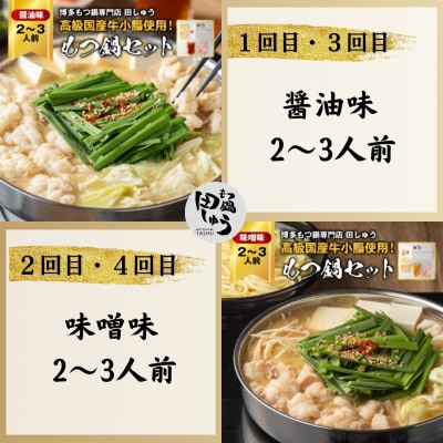 【毎月定期便】【博多もつ鍋専門店田しゅう】おすすめもつ鍋セット(醤油味・味噌味2〜3人前)全4回【配送不可地域：離島】【4056005】