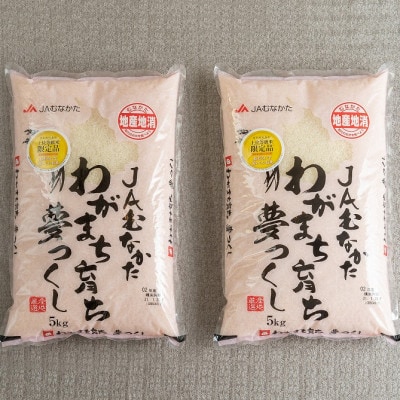 【毎月定期便】福岡県産米『夢つくし』10kg(5kg×2袋)(大野城市)全6回【4058580】