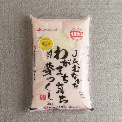 【毎月定期便】福岡県産米『夢つくし』5kg(大野城市)全3回【4058577】