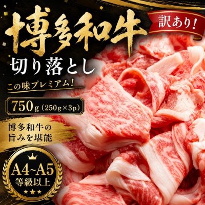 訳あり!【A4〜A5】この味プレミアム!博多和牛切り落とし　750g(250g×3p)(大野城市)【配送不可地域：離島】【1750487】