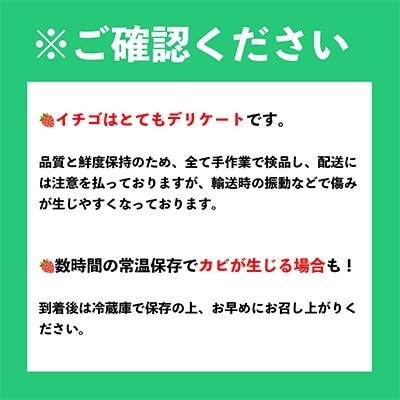 フルーツ専門店が選んだ「あまおう苺」冬4パック(大野城市)【配送不可地域：離島】【1083236】