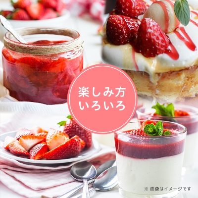 【2026年発送先行受付】フルーツ専門店が選んだ「あまおう苺」春250g×6パック(大野城市)【配送不可地域：離島】【1083968】