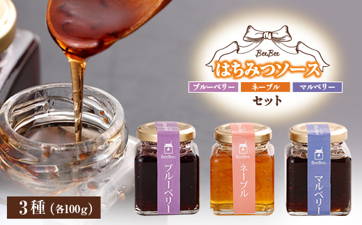 はちみつソース(マルベリー・ネーブル・ブルーベリー)セット【1049032】