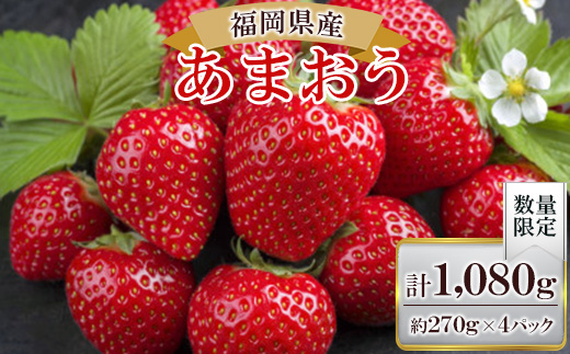 【数量限定】福岡県産あまおう270g×4パック【R7年2月発送開始】【配送不可地域：離島】【1277506】