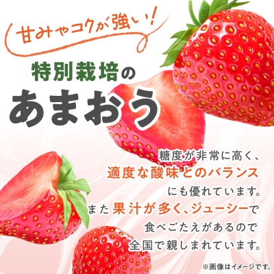 【数量限定】特別栽培あまおう約300g×4パック(約1,200g)【2024年12月より順次発送】【配送不可地域：離島】【1445836】