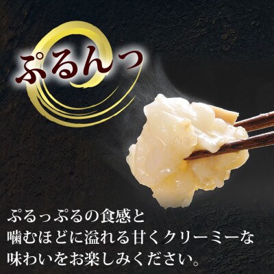 ぷるっぷる♪博多もつ鍋セット(あごだし醤油味)3−4人前(大野城市)【配送不可地域：離島】【1527570】