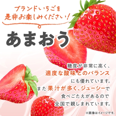 【発送月固定定期便】福岡県産あまおう約270g×4パック全3回【配送不可地域：離島】【4061046】