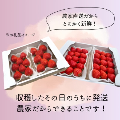縲仙郁。御コ育エ縲醍ヲ丞イ。逵檎肇縺ゅ∪縺翫≧ 邏270gテ4繝代ャ繧ッ縲宣埼∽ク榊庄蝨ー蝓滂シ夐屬蟲カ縲代1177858縲