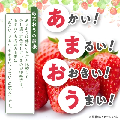 【数量限定】特別栽培あまおう約300g×4パック(約1,200g)【2024年12月より順次発送】【配送不可地域：離島】【1445836】