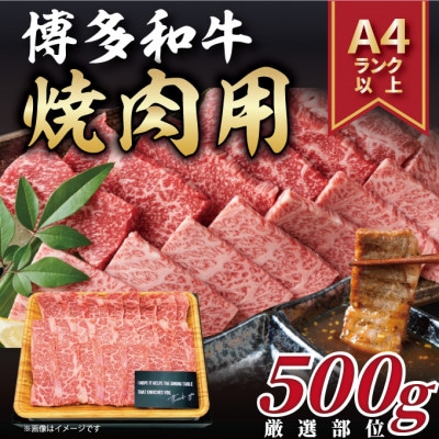 【A4〜A5】博多和牛焼き肉用【厳選部位】(500g)【配送不可地域：離島】【1168508】