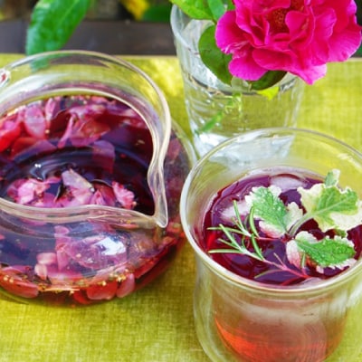 バラのハーブティー 10ティーバック【1452110】