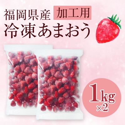 【濃厚な味わい!】冷凍いちご「博多あまおう」1kg×2セット(大野城市)【配送不可地域：離島】【1729104】