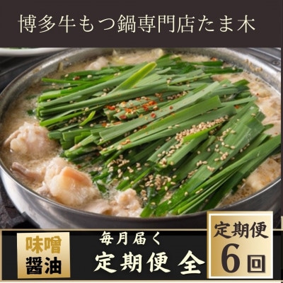 【毎月定期便】【博多牛もつ鍋専門店たま木】牛もつ鍋セット みそ味・醤油味(2〜3人前)全6回【配送不可地域：離島】【4057711】