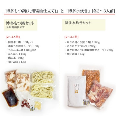 博多の人気2大鍋のセット「九州醤油もつ鍋」と「博多水炊き(切り身)」各2〜3人前【配送不可地域：離島】【1526374】