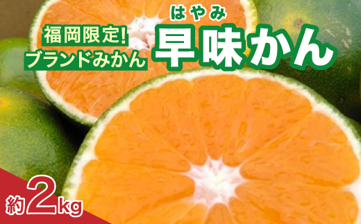 福岡限定!オリジナルブランドみかん「早味かん」約2kg(大野城市)【配送不可地域：離島】【1091055】