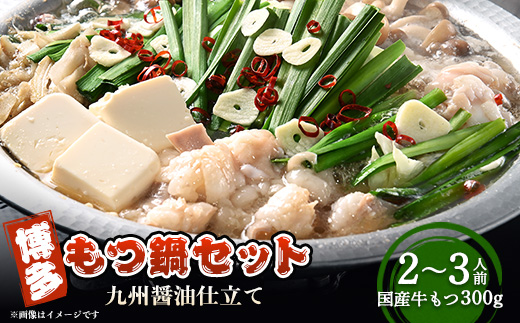 博多もつ鍋セット(九州醤油仕立て)2〜3人前　国産牛もつ300g【配送不可地域：離島】【1526278】