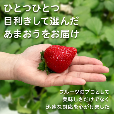 【2026年発送先行受付】フルーツ専門店が選んだ「あまおう苺」春250g×6パック(大野城市)【配送不可地域：離島】【1083968】