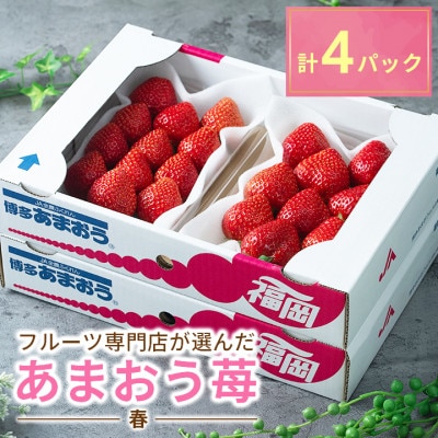 フルーツ専門店が選んだ「あまおう苺」春250g×4パック(大野城市)【配送不可地域：離島】【1083237】