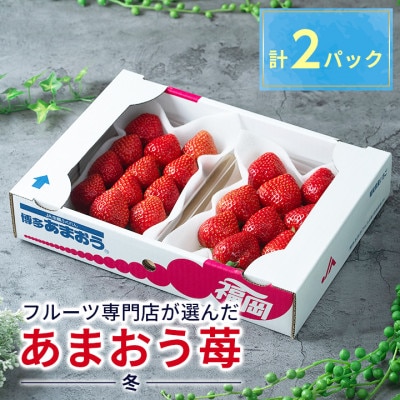 フルーツ専門店が選んだ「あまおう苺」冬250g×2パック(大野城市)【配送不可地域：離島】【1083235】