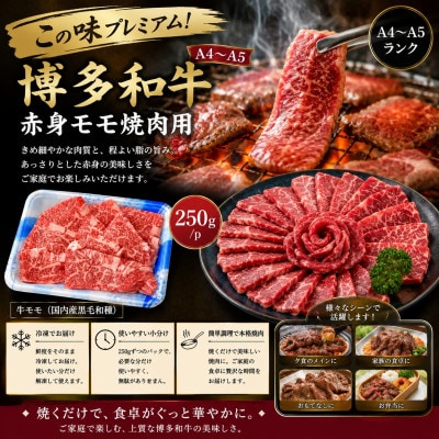 ãã®å³ãã¬ãã¢ã !ãA4ãA5ãåå€åç赀身ã¢ã¢çŒèçšã1kg(250gÃ4p)(倧éååž)ãé
éäžå¯å°åïŒé¢å³¶ãã1770965ã