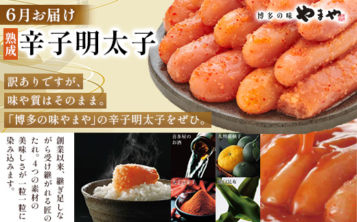 ãçºéæåºå®å®æäŸ¿ãå£ç¯ããšã«çŠå²¡ã®å³èŠããå±ã!ããŸããã»æå€ªåã»ãã€éã®èŽ
æ²¢å®æäŸ¿å
š3åãé
éäžå¯å°åïŒé¢å³¶ãã4014670ã