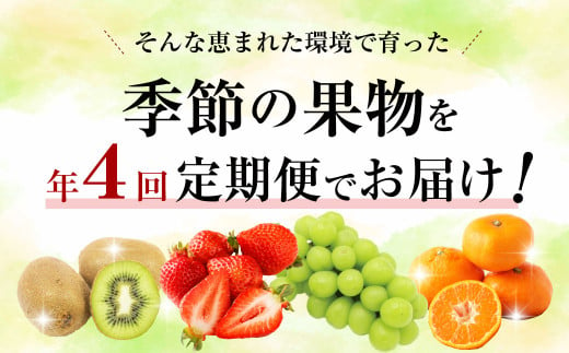 【定期便/年4回】ＪＡむなかた厳選！人気のフルーツ定期便【ほたるの里】_HB0140