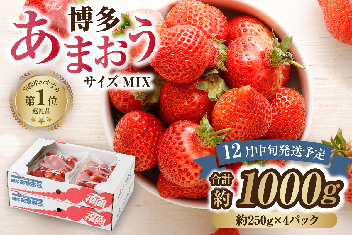 【先行予約】【アフター保証】どこよりも早くお届け！12月発送「博多あまおう」約250g×4パック【ほたるの里】_HA0502