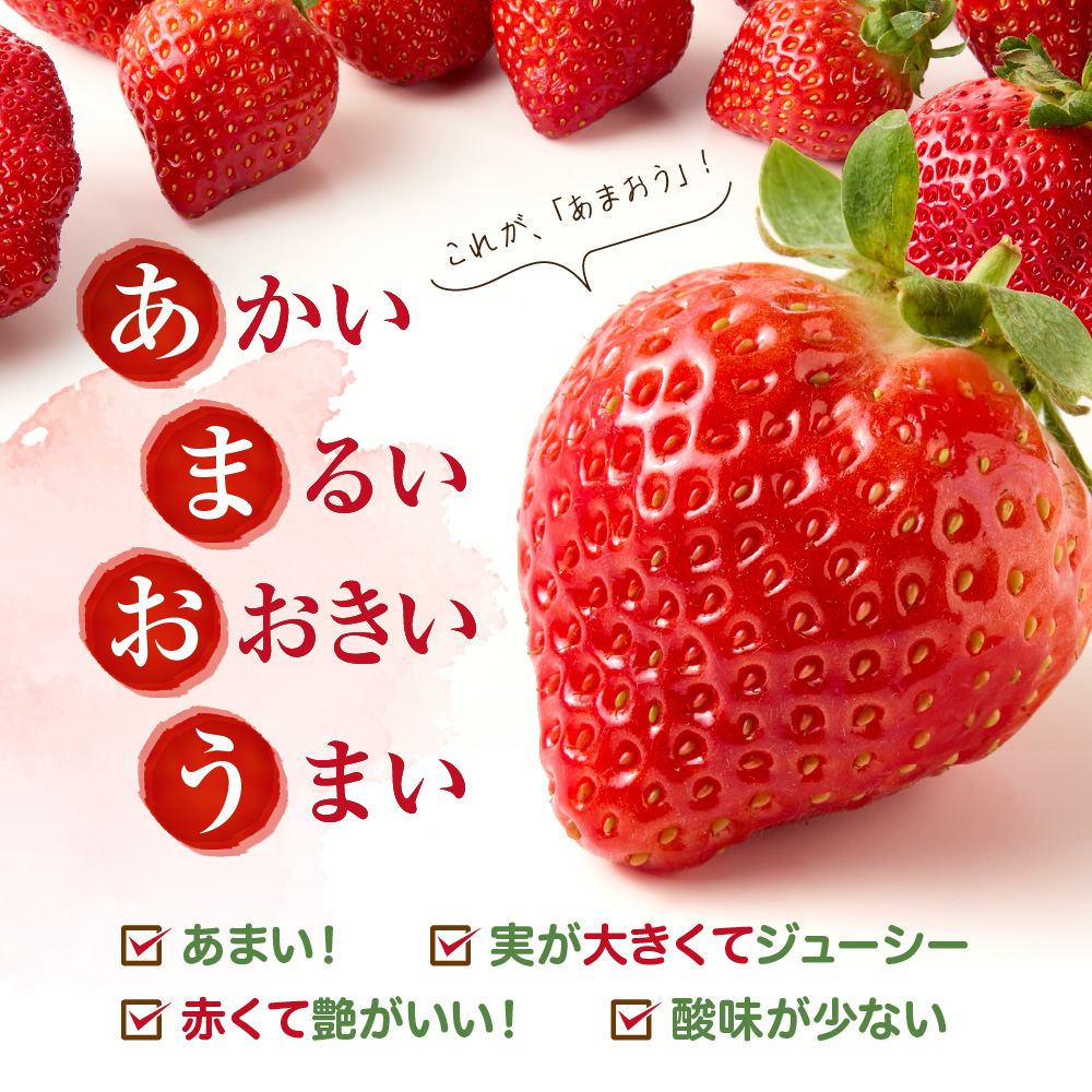 【アフター保証】 「博多あまおう」約280g×4パック【JAほたるの里】_HA0433