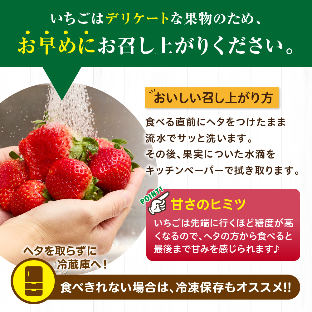 【アフター保証】 「博多あまおう」約280g×4パック【JAほたるの里】_HA0433