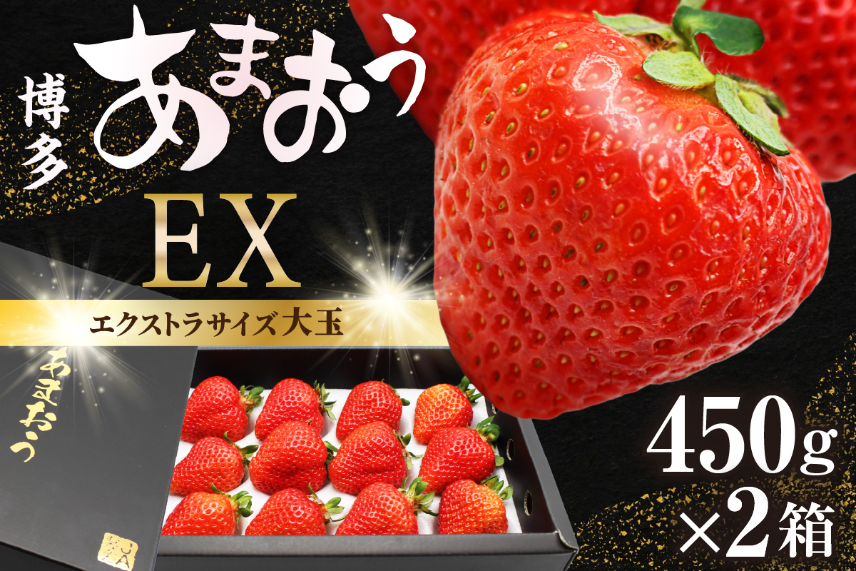 1月より順次発送！「博多あまおう」EX　贈答用化粧箱　約450g 2箱【ほたるの里】_HA0753