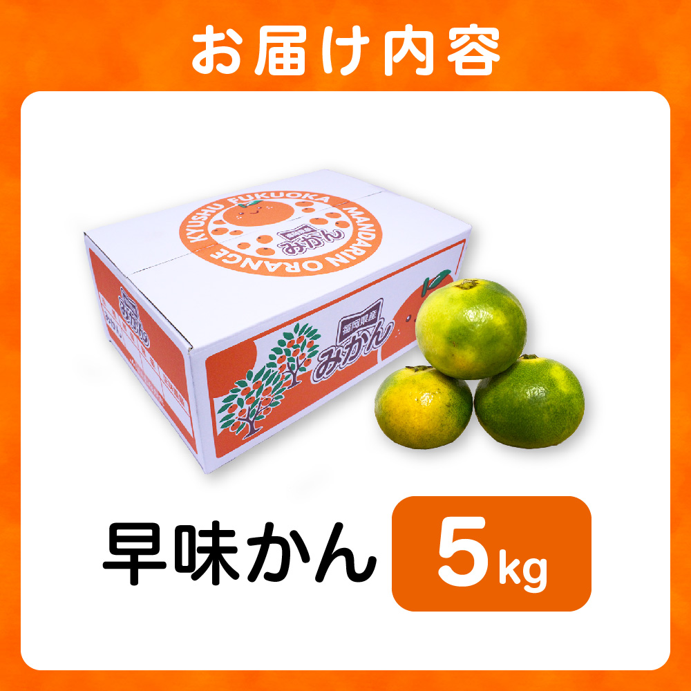 福岡県ブランド 極早生みかん「早味かん」5kg【JAほたるの里】_HA0887