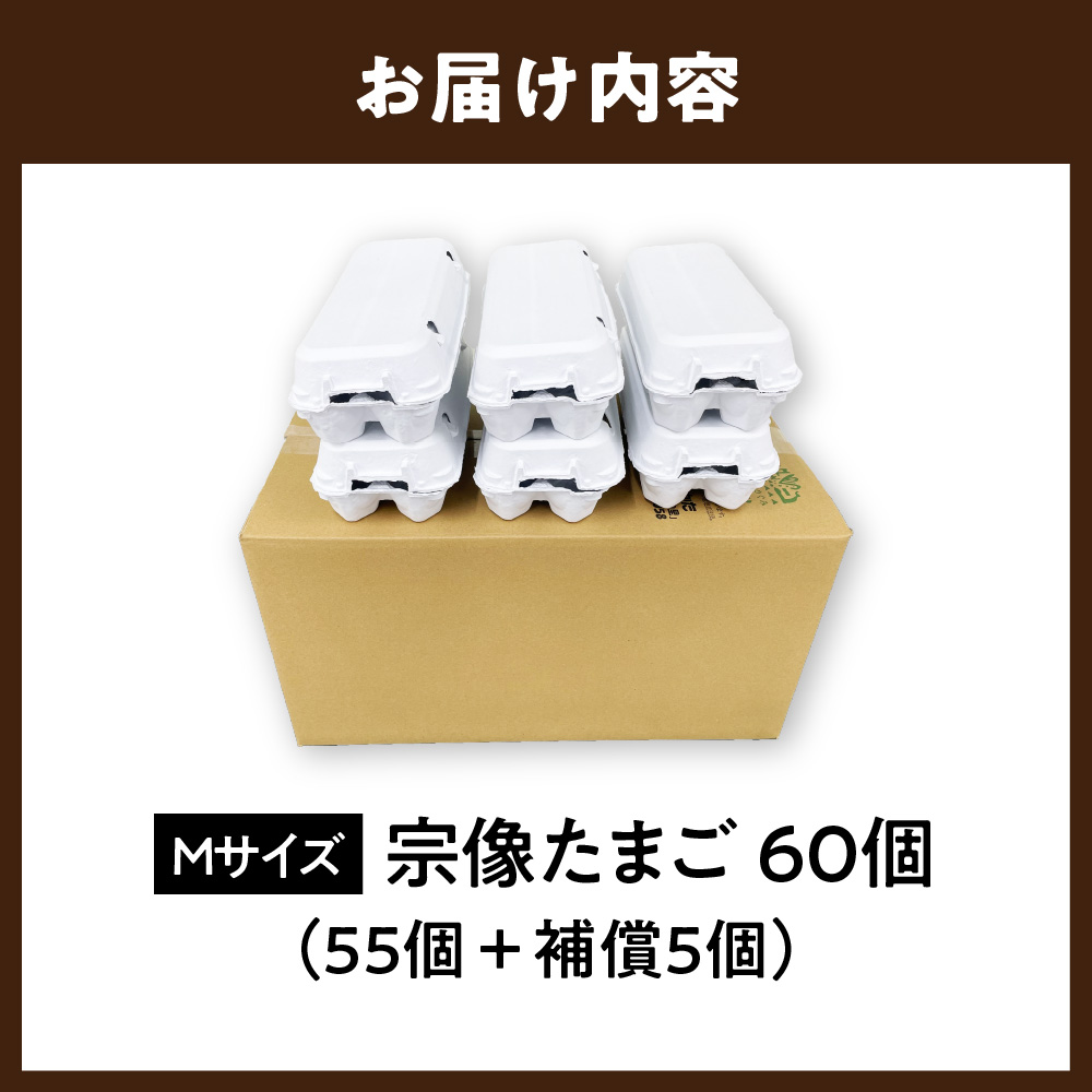 JAむなかたよりお届け！宗像たまご60個（55個＋補償5個）【JAほたるの里】_HA0916